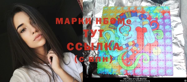 соль ск Краснослободск