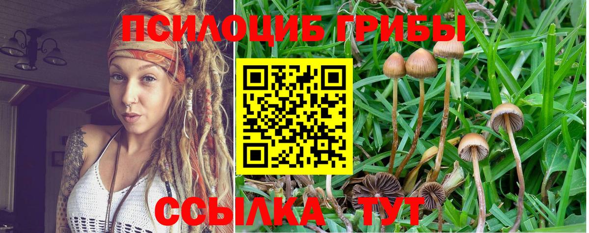 Псилоцибиновые грибы прущие грибы Углич
